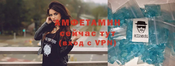 mdpv Бородино