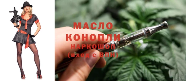 mdpv Бородино