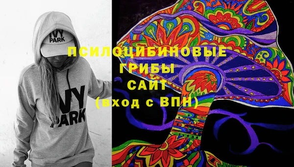 таблы Богданович