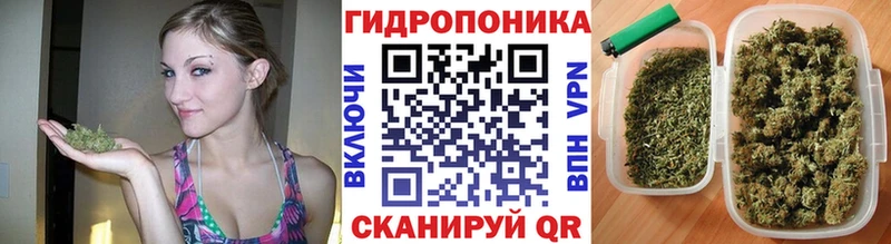Бошки Шишки гибрид  Волгореченск 
